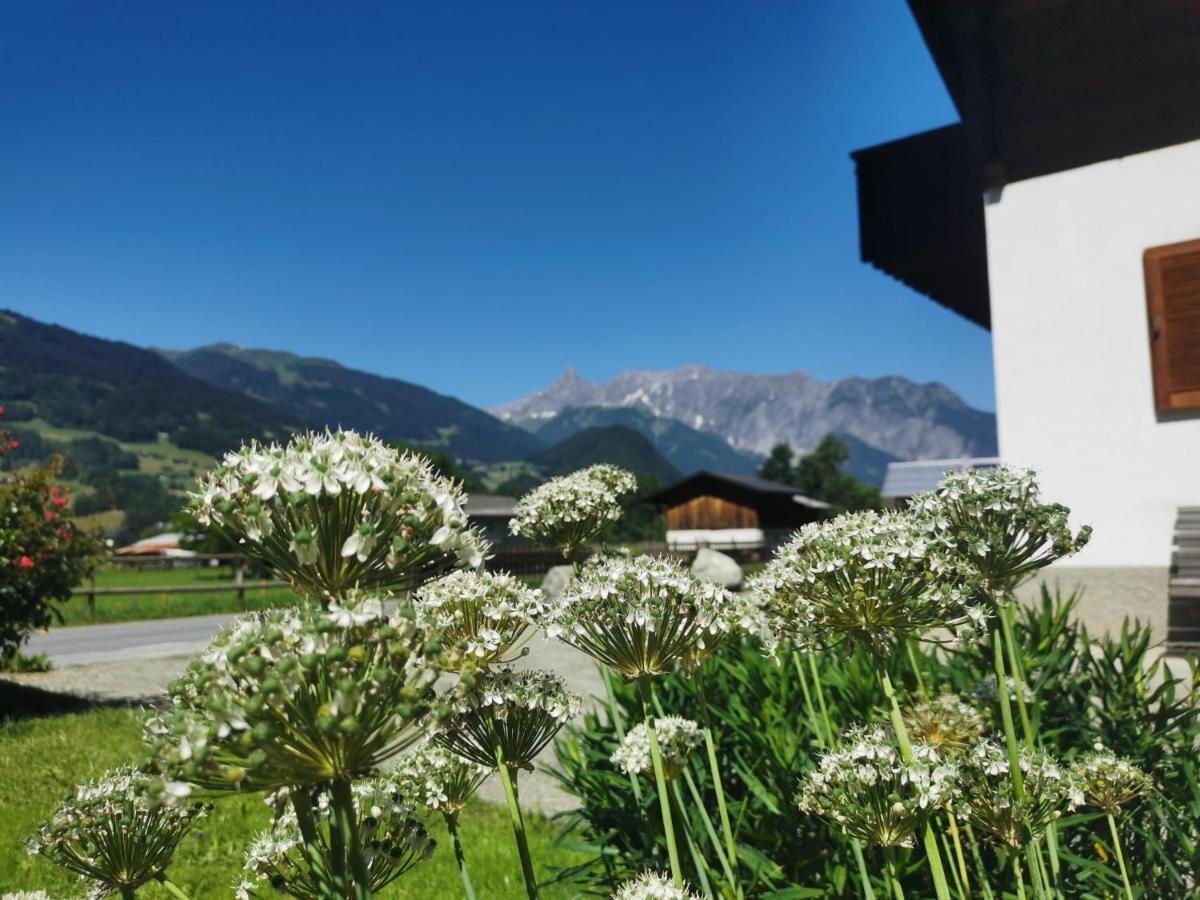 Haus Buachwald Villa Schruns Buitenkant foto